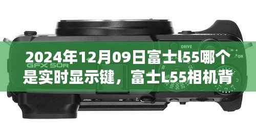 富士L55相机背后的故事,探索实时显示键与摄影之旅的温馨时刻