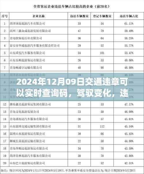 驾驭变化，实时交通违章查询码助力轻松出行