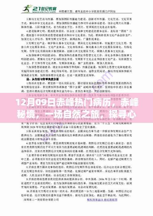 富贵荣华 第3页