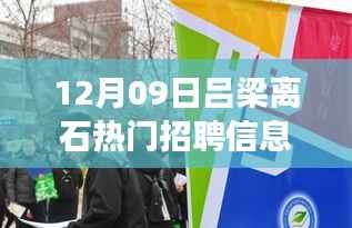 揭秘吕梁离石热门招聘市场,最新招聘信息深度解析(12月09日更新)