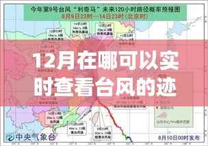 十二月追寻台风脚步，实时探秘自然秘境的诗意之旅