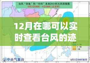十二月追寻台风脚步,实时探秘自然秘境的诗意之旅