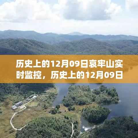 历史上的12月9日哀牢山实时监控,事件回顾与观点解析