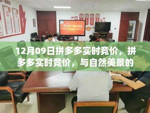 拼多多实时竞价,启程寻找与自然美景的不期而遇的内心宁静之旅