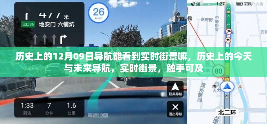 兽聚鸟散 第3页