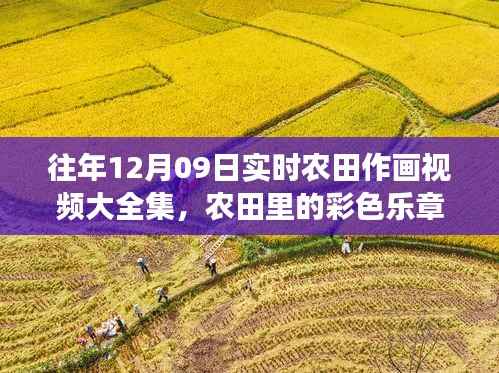 暖心友谊见证下的农田彩色乐章,实时作画视频集锦