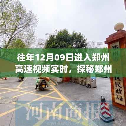 探秘郑州高速视频实时背后的美食秘境,小巷深处的独特风味