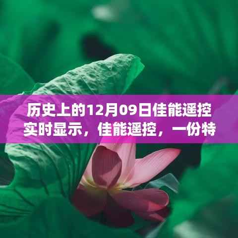 佳能遥控,特殊礼物与温馨故事的交织时光(历史上的12月09日)
