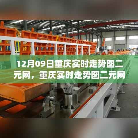 重庆实时走势图二元网下的多元视角深度探讨