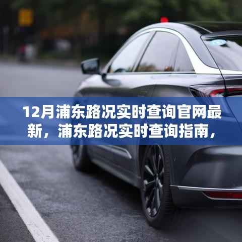 浦东实时路况查询指南,最新路况信息,出行无忧