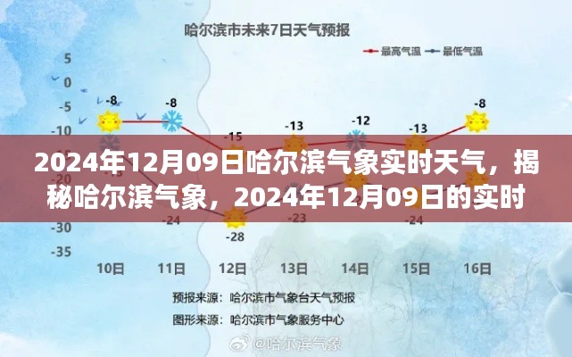 揭秘哈尔滨气象,2024年12月09日实时天气洞察