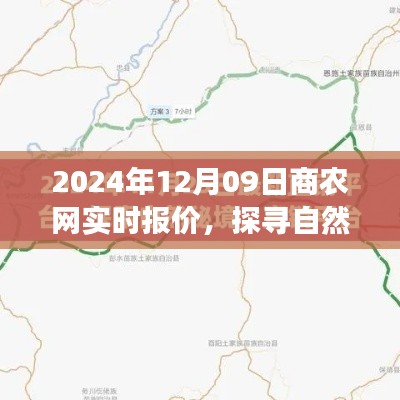 商农网实时报价探寻自然秘境启程心灵之旅(2024年12月09日)