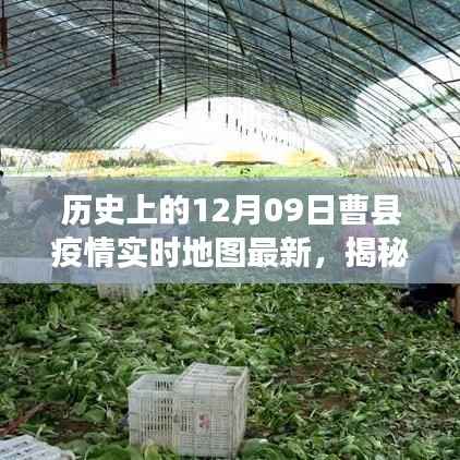 揭秘十二月九日曹县疫情实时地图的最新篇章,历史与现状的交汇点