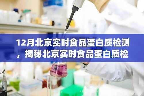北京实时食品蛋白质检测揭秘，科技保障食品安全