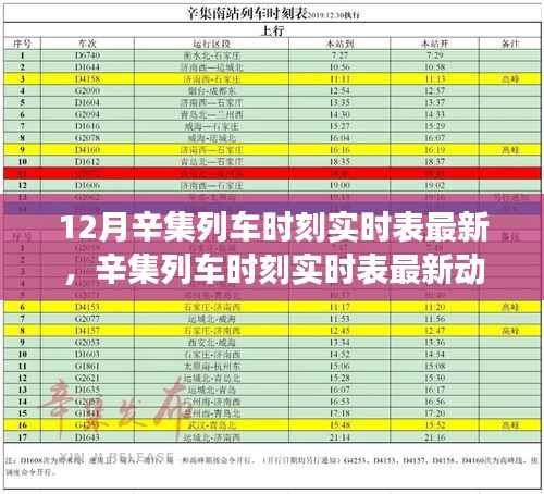 辛集列车时刻实时表更新,运输效率探讨与最新动态分析