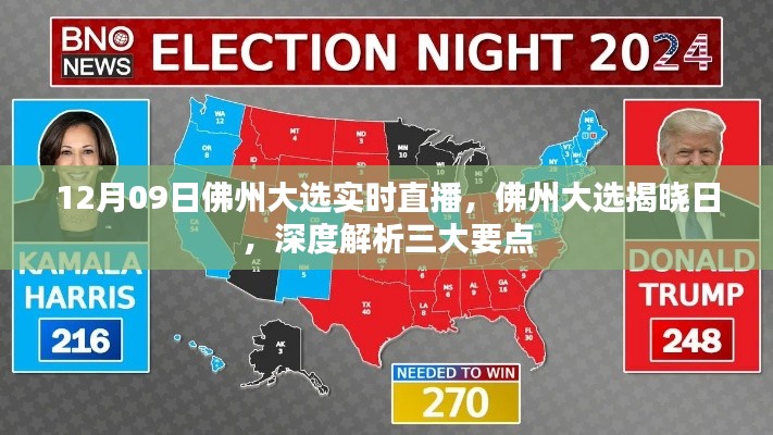 佛州大选揭晓日，深度解析三大要点及实时直播动态