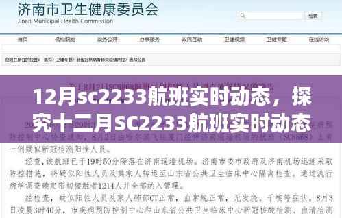 探究十二月SC2233航班实时动态,双刃剑效应下的动态追踪技术