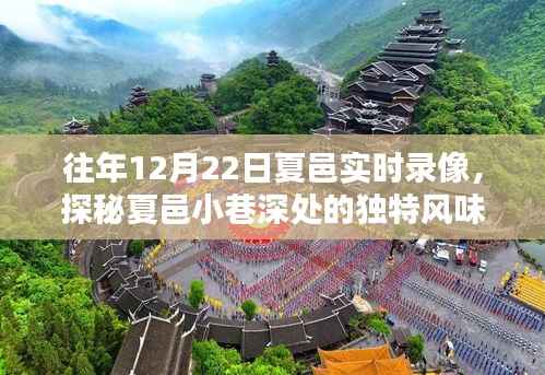 探秘夏邑小巷深处的独特风味,往日12月22日实时录像记录