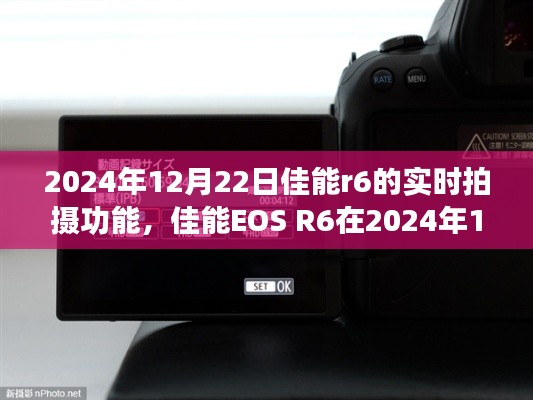 佳能EOS R6实时拍摄功能深度评测与介绍,2024年12月22日体验分享