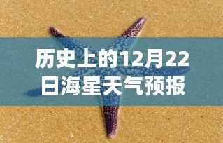 探索海星奇景,12月22日阳光下的治愈之旅与天气预报实时播报
