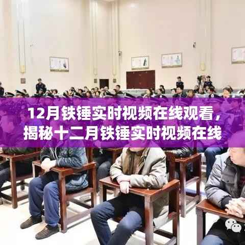 揭秘铁锤实时视频在线观看背后的真相,警惕违法犯罪风险,十二月铁锤视频在线观看指南