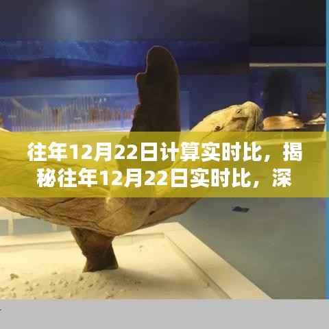 揭秘往年12月22日实时数据奥秘,深度解析背后的数据对比与奥秘探索