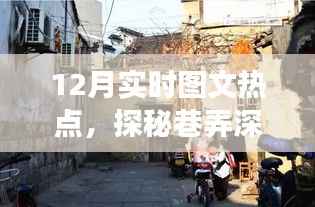 探秘十二月巷口隐藏瑰宝,实时图文热点下的特色小店故事