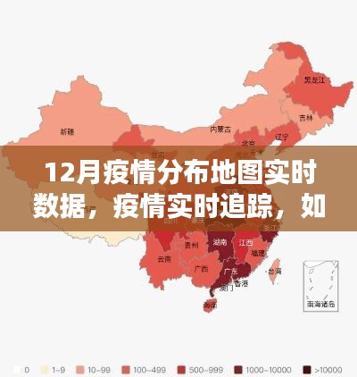 12月疫情分布地图实时数据追踪及分析指南