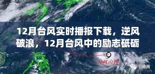 12月台风中的逆风破浪与梦想之旅,实时播报下的励志前行
