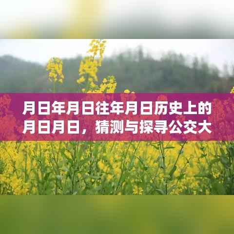 公交大兴53路历史背景与实时动态探索