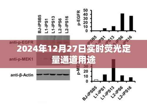实时荧光定量通道技术及应用展望