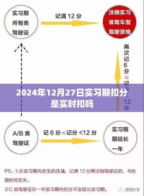 实习期扣分规则解析，扣分是否实时生效？