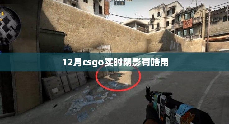 揭秘CSGO实时阴影功能,作用与影响分析