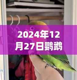 广州鹦鹉天气实时播报,2024年12月27日天气展望