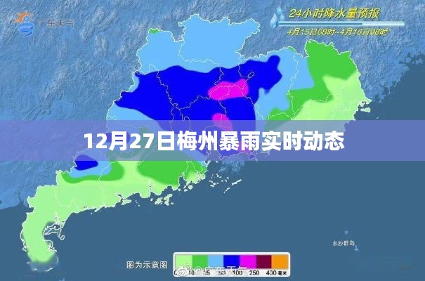 梅州暴雨实时更新,最新动态与预警信息