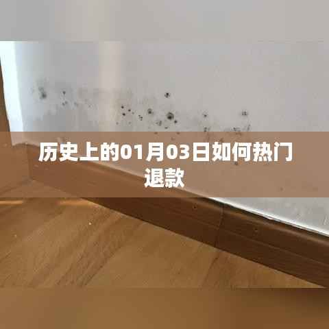 历史上的热门退款事件,揭秘一月三日背后的故事