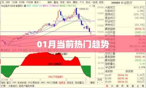 热门趋势一月份解析