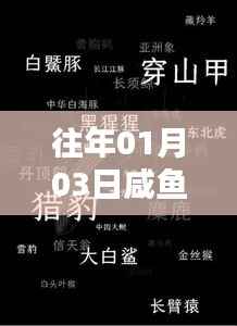 闲鱼热门榜揭秘,潮流风向标在行动