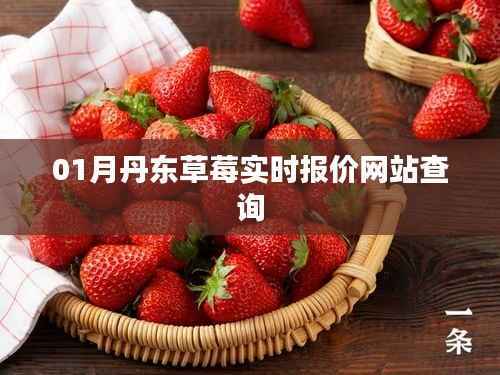 丹东草莓实时报价查询网站更新发布