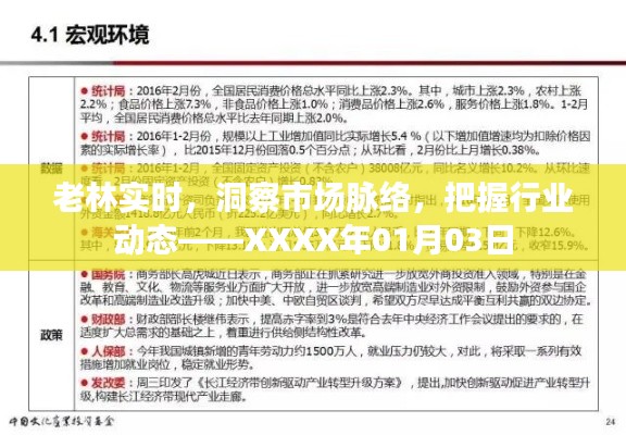 老林市场洞察,实时分析行业动态(XXXX年最新资讯)