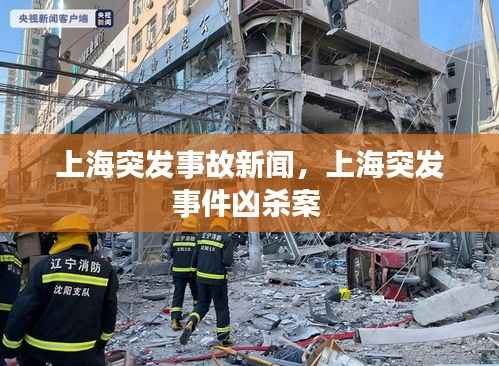 上海突发事故新闻,上海突发事件凶杀案