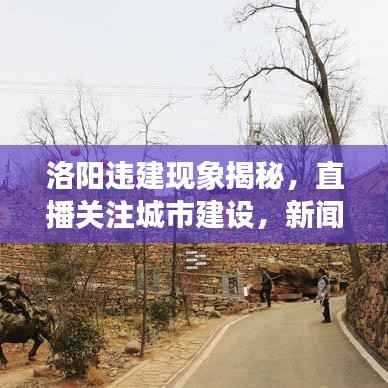 洛阳违建现象揭秘,直播关注城市建设,新闻头条热议违建问题