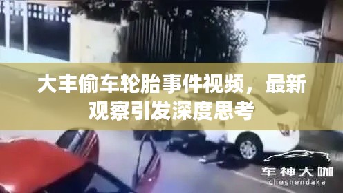 大丰偷车轮胎事件视频,最新观察引发深度思考
