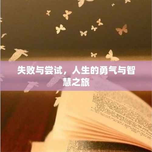 失败与尝试,人生的勇气与智慧之旅