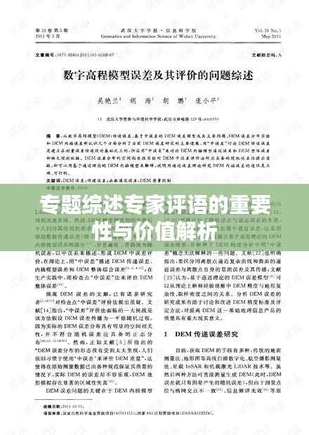 专题综述专家评语的重要性与价值解析