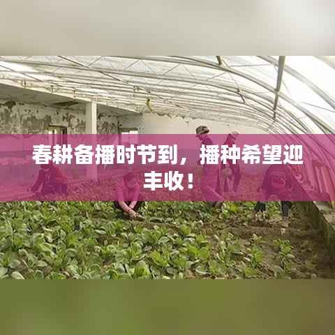 春耕备播时节到,播种希望迎丰收!