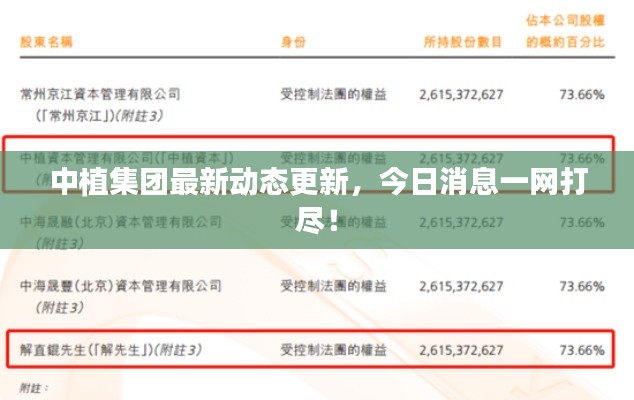 中植集团最新动态更新,今日消息一网打尽!