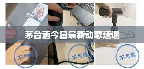 茅台酒今日最新动态速递