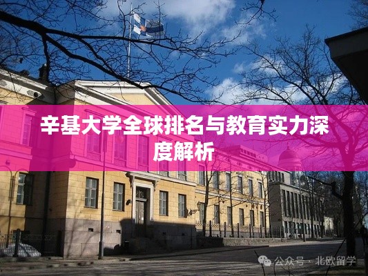 辛基大学全球排名与教育实力深度解析