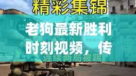 老狗最新胜利时刻视频,传奇之战见证荣耀时刻